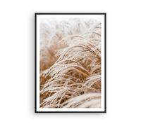 Cuadro Poster de Pared 70x100cm Póster Marco Hierba Naturaleza Escarcha Wall Art