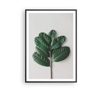 Cuadro Poster de Pared 70x100cm Póster Marco Hojas Planta Botánica Wall Art