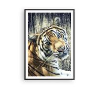 Cuadro Poster de Pared 70x100cm Póster Marco India piedra tigre salvaje Wall Art
