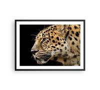 Cuadro Poster de Pared 70x50cm Animales leopardo gato salvaje animales salvajes