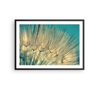 Cuadro Poster de Pared 70x50cm Marco Diente De León Macro Diente De León Art