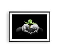 Cuadro Poster de Pared 70x50cm Marco Naturaleza planta ciencia protección Art