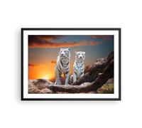 Cuadro Poster de Pared 70x50cm Marco Tigres blanco roca puesta del sol Art