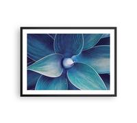 Cuadro Poster de Pared 70x50cm Póster Marco Agave Azul Flor Wall Art Prints