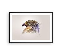Cuadro Poster de Pared 70x50cm Póster Marco águila pájaro pluma Wall Art Prints