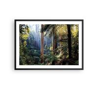 Cuadro Poster de Pared 70x50cm Póster Marco amanecer árboles bosque Wall Art