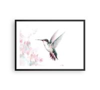 Cuadro Poster de Pared 70x50cm Póster Marco Colibrí Acuarela Luz Wall Art Prints
