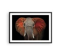 Cuadro Poster de Pared 70x50cm Póster Marco Elefante Rojo Orejas Wall Art Prints