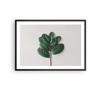 Cuadro Poster de Pared 70x50cm Póster Marco Hojas Planta Botánica Wall Art