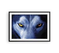 Cuadro Poster de Pared 70x50cm Póster Marco Mira El Lobo Ojos Wall Art Prints