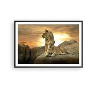 Cuadro Poster de Pared 91x61cm Marco Leones puesta de sol rocas garras Art
