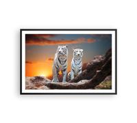 Cuadro Poster de Pared 91x61cm Marco Tigres blanco roca puesta del sol Art