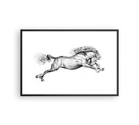 Cuadro Poster de Pared 91x61cm Póster Marco Caballo Dibujo Lápiz Wall Art Prints