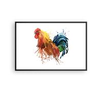Cuadro Poster de Pared 91x61cm Póster Marco Gallo Ilustration Animal colores Art