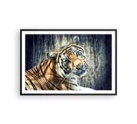 Cuadro Poster de Pared 91x61cm Póster Marco India piedra tigre salvaje Wall Art