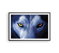 Cuadro Poster de Pared 91x61cm Póster Marco Mira El Lobo Ojos Wall Art Prints