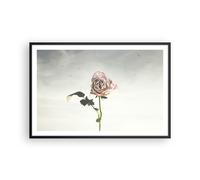 Cuadro Poster de Pared 91x61cm Póster Marco rosa pájaros cielo Wall Art Prints