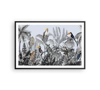 Cuadro Poster de Pared 91x61cm Póster Marco Selva Animales Tucanes Wall Art