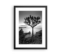 Cuadro Póster Marco Negro 30x40 cm Botánica Blanco y Negro - 4297 - P2B | Árbol Y Negro Moderno Vertical Cuadros de Pared Decoración Cuadro Decorativo Salón Dormitorio Cocina Lámina Imágenes ARTTOR