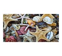 Cuadro SHELLS G2034 PINTDECOR