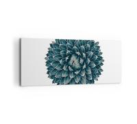 Cuadro Sobre Lienzo 100x40cm Cuadros Pared Agave Reina Victoria Wall Art Prints