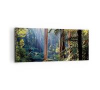 Cuadro Sobre Lienzo 100x40cm Cuadros Pared amanecer árboles bosque Wall Art