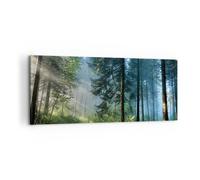 Cuadro Sobre Lienzo 100x40cm Cuadros Pared Bosque Amanecer El Sol Wall Art