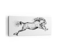 Cuadro Sobre Lienzo 100x40cm Cuadros Pared Caballo Dibujo Lápiz Wall Art Prints