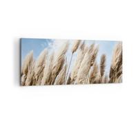 Cuadro Sobre Lienzo 100x40cm Cuadros Pared Caña Cielo Boho Wall Art Prints Decor