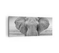 Cuadro Sobre Lienzo 100x40cm Cuadros Pared Elefante África Animales Wall Art