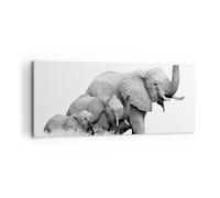 Cuadro Sobre Lienzo 100x40cm Cuadros Pared Elefantes Familia Blanco Y Negro Art