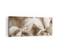 Cuadro Sobre Lienzo 100x40cm Cuadros Pared Flores Boho Sin Wall Art Prints Decor
