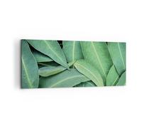 Cuadro Sobre Lienzo 100x40cm Cuadros Pared Hojas Eucalipto Naturaleza Wall Art