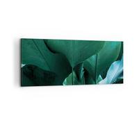 Cuadro Sobre Lienzo 100x40cm Cuadros Pared Hojas Palmeras Plátano Wall Art