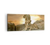Cuadro Sobre Lienzo 100x40cm Cuadros Pared Leones puesta de sol rocas garras Art
