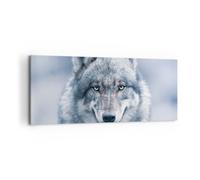 Cuadro Sobre Lienzo 100x40cm Cuadros Pared lobo depredador salvajismo Wall Art