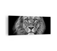 Cuadro Sobre Lienzo 100x40cm Cuadros Pared Retrato León Blanco Y Negro Wall Art