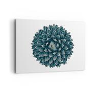 Cuadro Sobre Lienzo 100x70cm Cuadros Pared Agave Reina Victoria Wall Art Prints