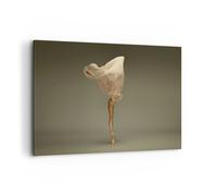 Cuadro Sobre Lienzo 100x70cm Cuadros Pared Bailarina Figura Bailando Wall Art