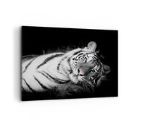 Cuadro Sobre Lienzo 100x70cm Cuadros Pared Blanco Tigre Blanco Y Negro Wall Art