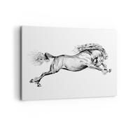 Cuadro Sobre Lienzo 100x70cm Cuadros Pared Caballo Dibujo Lápiz Wall Art Prints