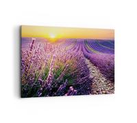 Cuadro Sobre Lienzo 100x70cm Cuadros Pared Campo Lavanda Sol Wall Art Prints