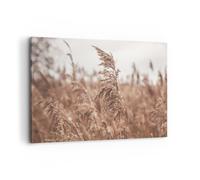 Cuadro Sobre Lienzo 100x70cm Cuadros Pared Caña Prado Boho Wall Art Prints Decor