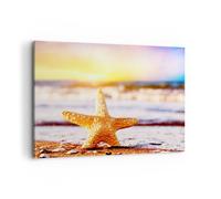 Cuadro Sobre Lienzo 100x70cm Cuadros Pared Estrellas de mar playa arena océano