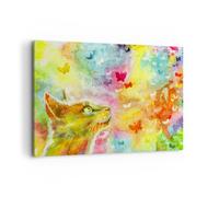 Cuadro Sobre Lienzo 100x70cm Cuadros Pared Gato mariposa arco iris magia Art