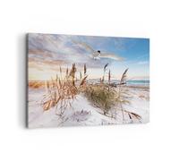 ARTTOR Lienzos decorativos 100x70cm Cuadro Sobre Lienzo Moderno Gaviota Mar Costa Grande Dormitorio Cocina Cuadros Pared Imágenes Cuadros Decoracion Salon Wall Art Prints Decor Canvas AA100x70-4902