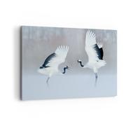 Cuadro Sobre Lienzo 100x70cm Cuadros Pared Grullas Lucha Danza Wall Art Prints
