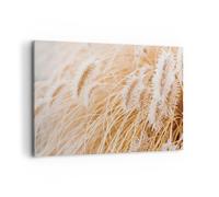 Cuadro Sobre Lienzo 100x70cm Cuadros Pared Hierba Boho Luz Wall Art Prints Decor