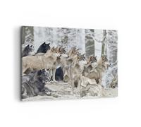 Cuadro Sobre Lienzo 100x70cm Cuadros Pared Manada Lobos Invierno Wall Art Prints