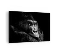 Cuadro Sobre Lienzo 100x70cm Cuadros Pared Mono Gorila Retrato Wall Art Prints